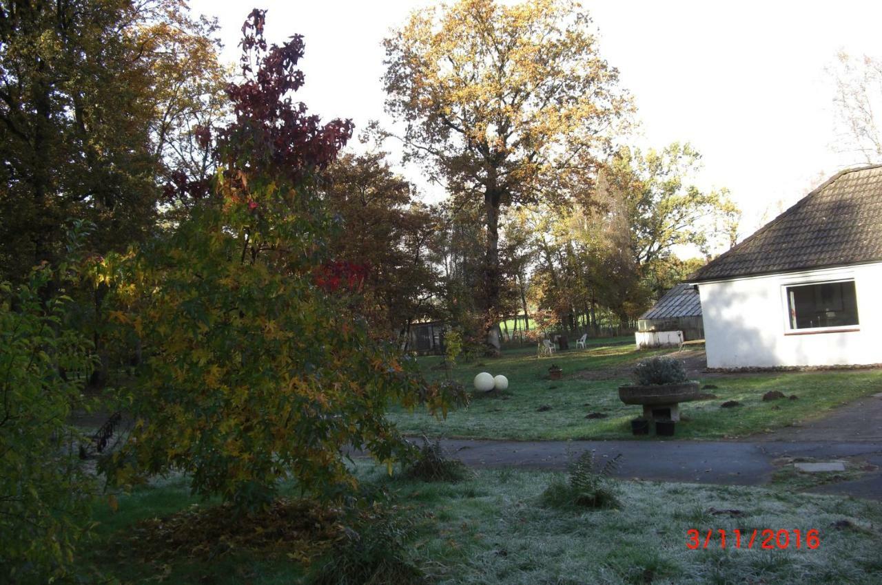 Ferienhaus Huus Ton Witten Barg Undeloh Bagian luar foto