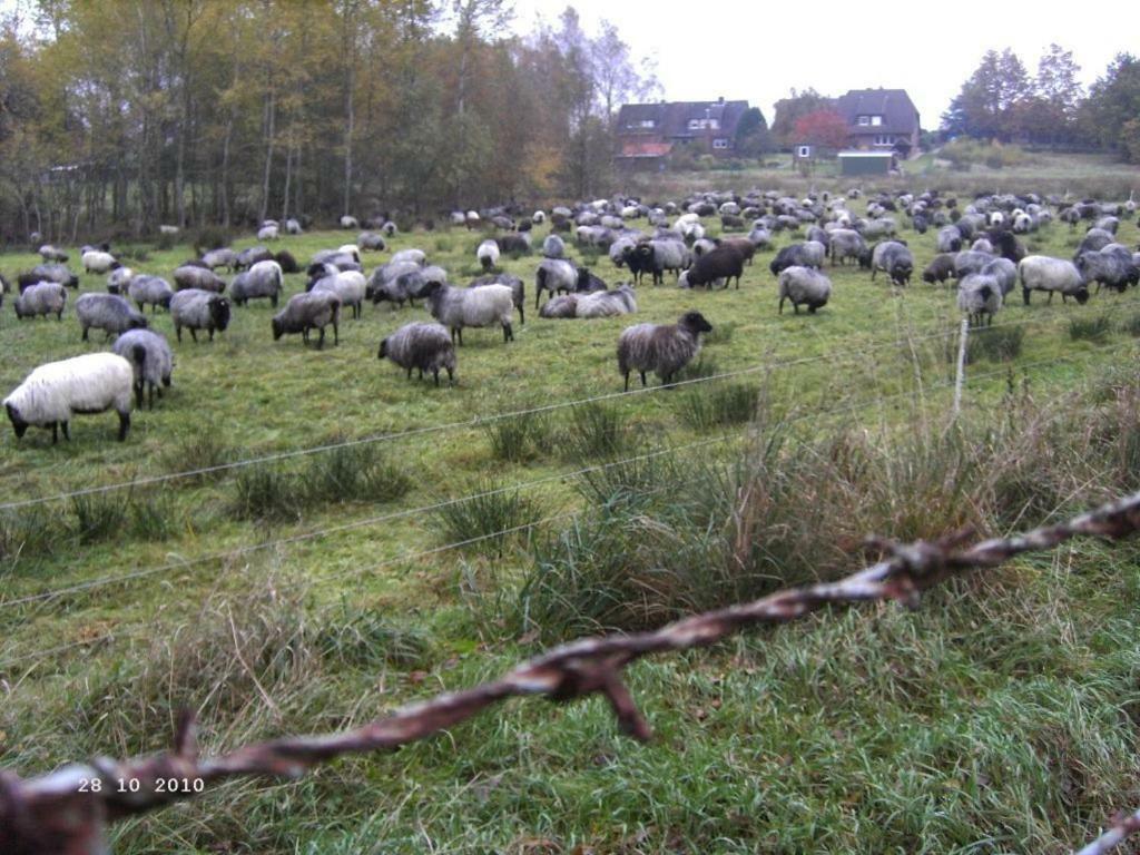 Ferienhaus Huus Ton Witten Barg Undeloh Bagian luar foto